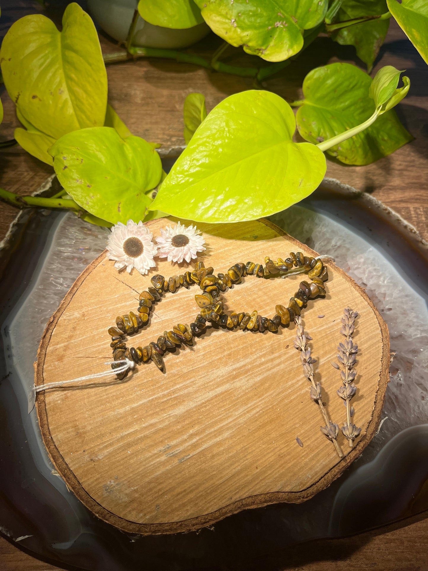 Tijgeroog splitarmband