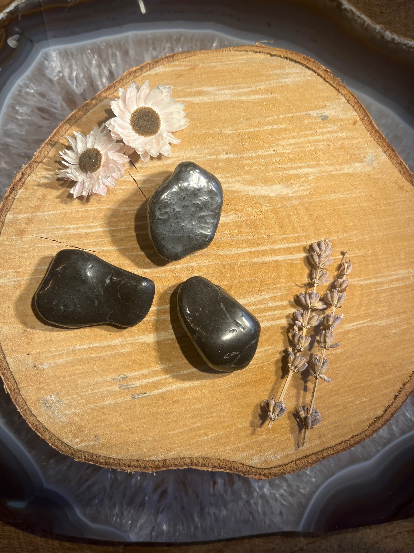 Shungiet trommelsteen