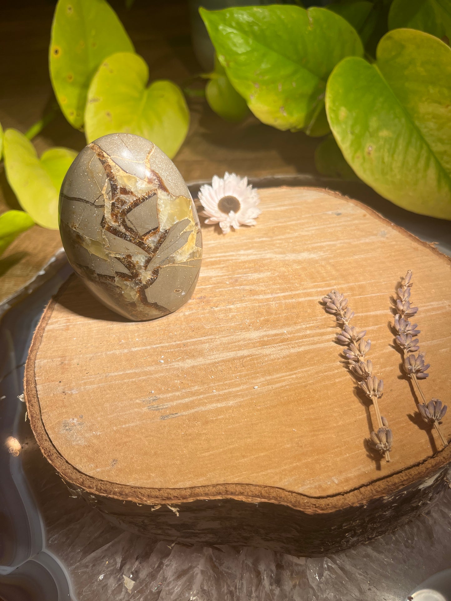 Septarie sculptuur 2