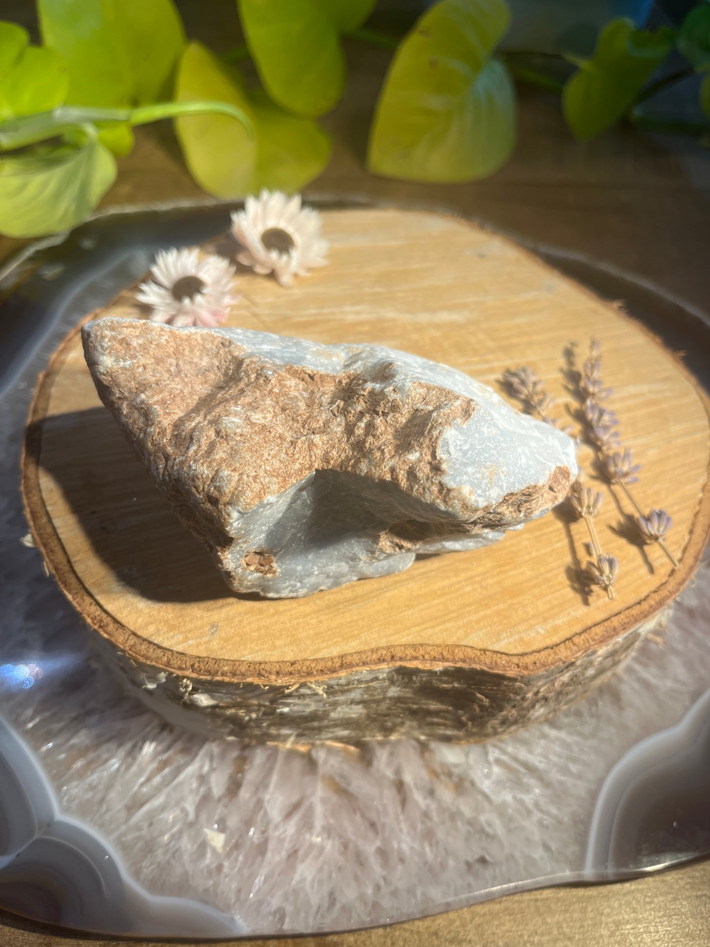 Angeliet ruwe brok 1