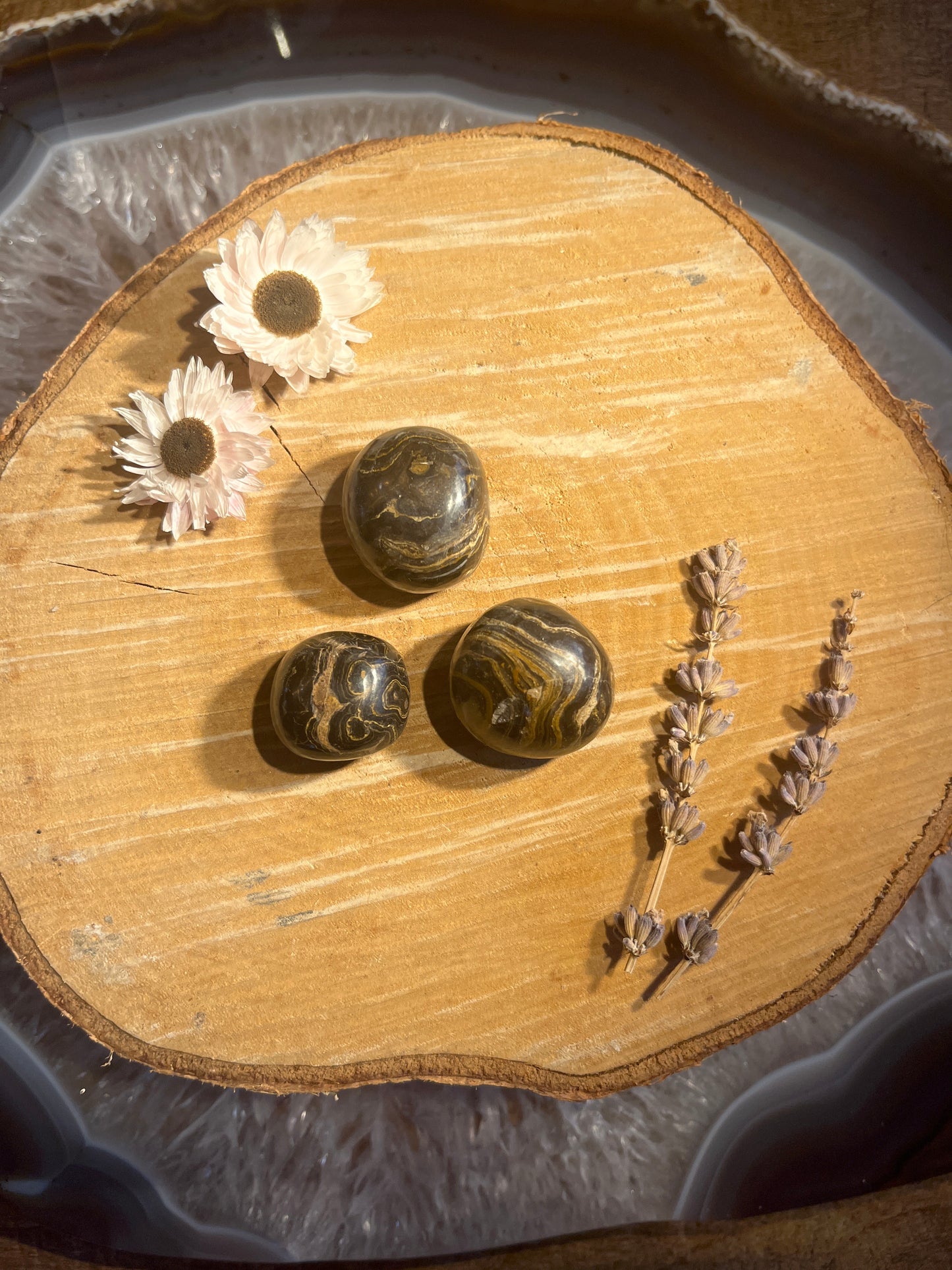 Stromatoliet trommelsteen