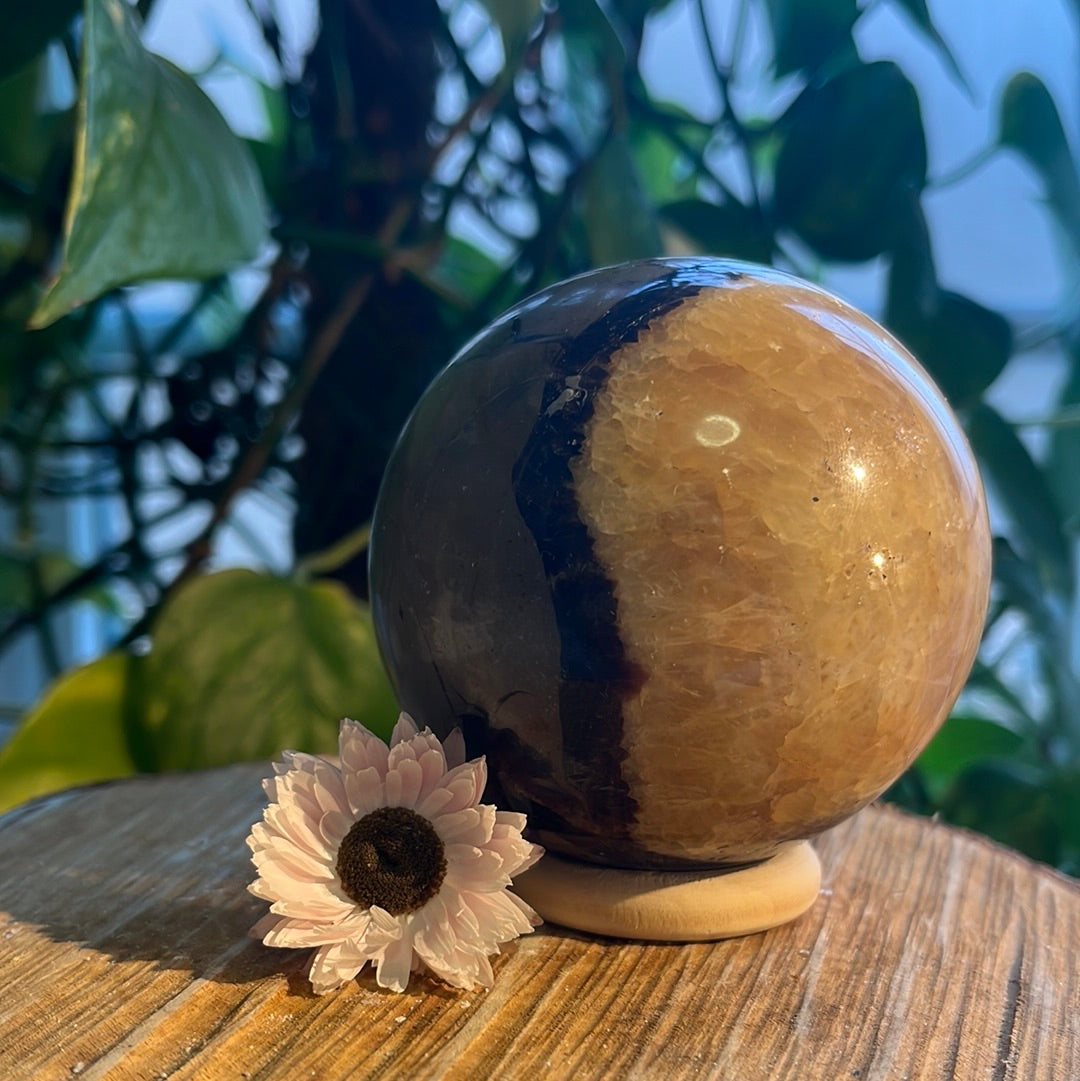 Septarie bol 1