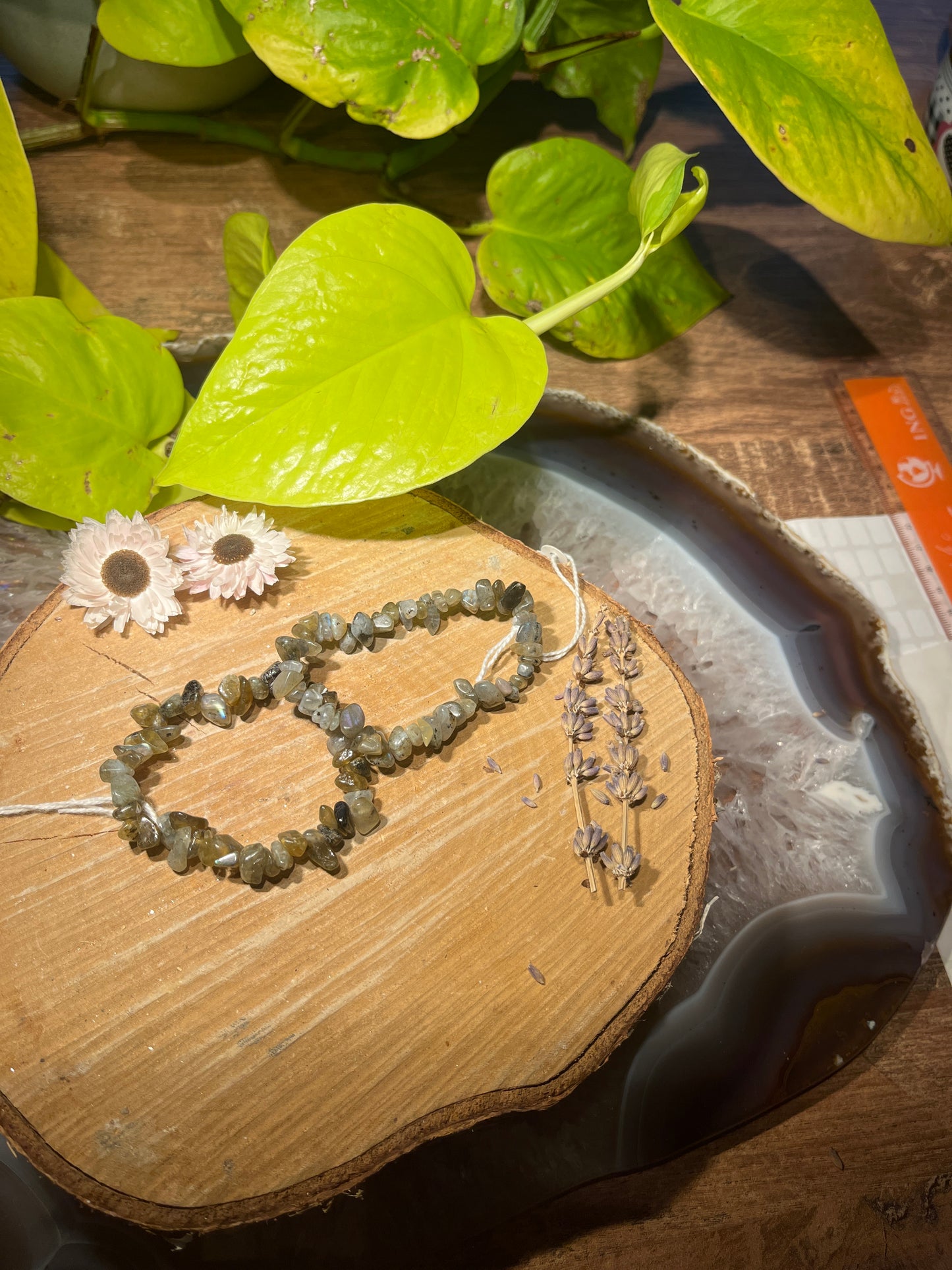 Labradoriet splitarmband