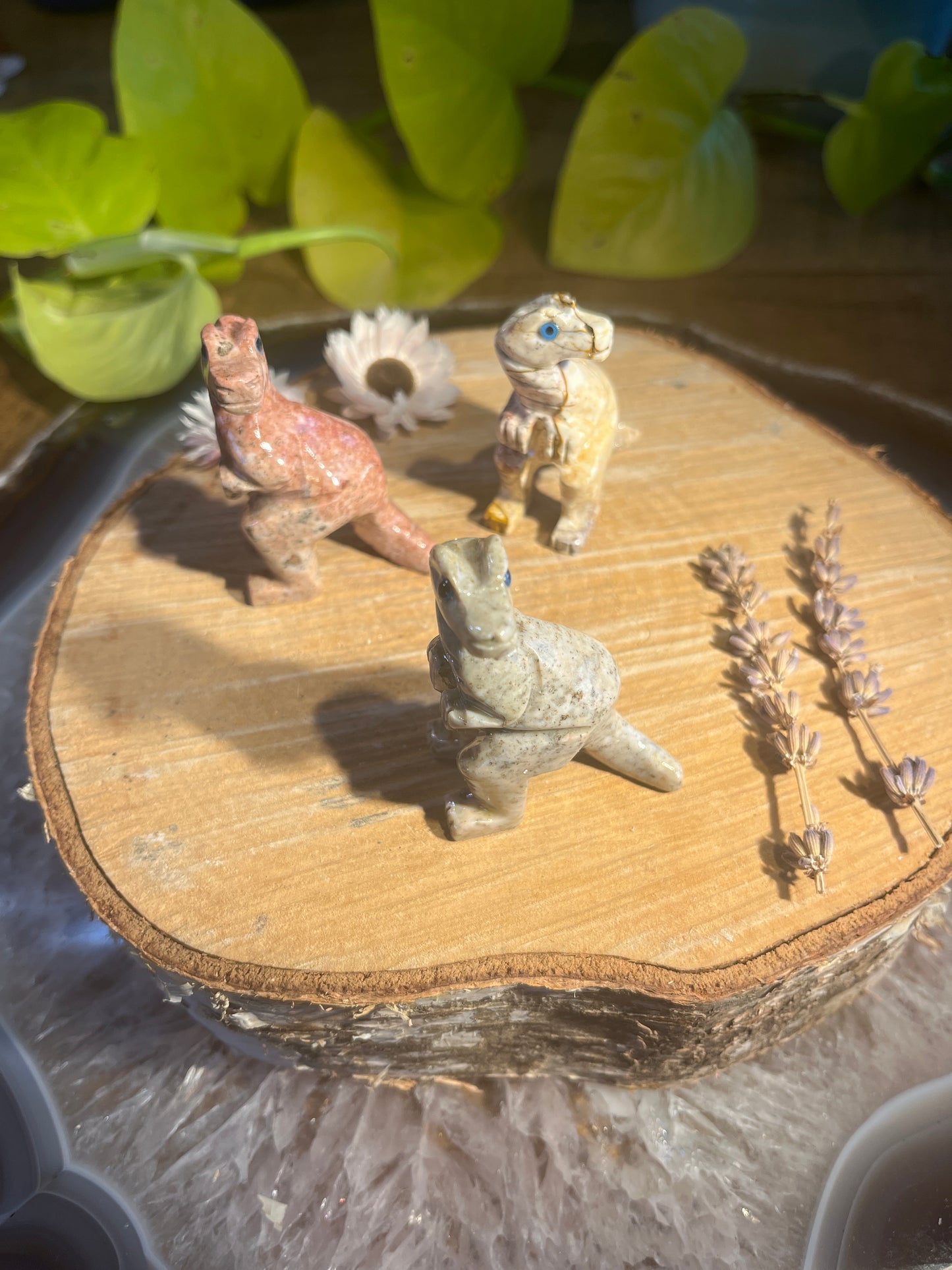 Speksteen t-rex groot