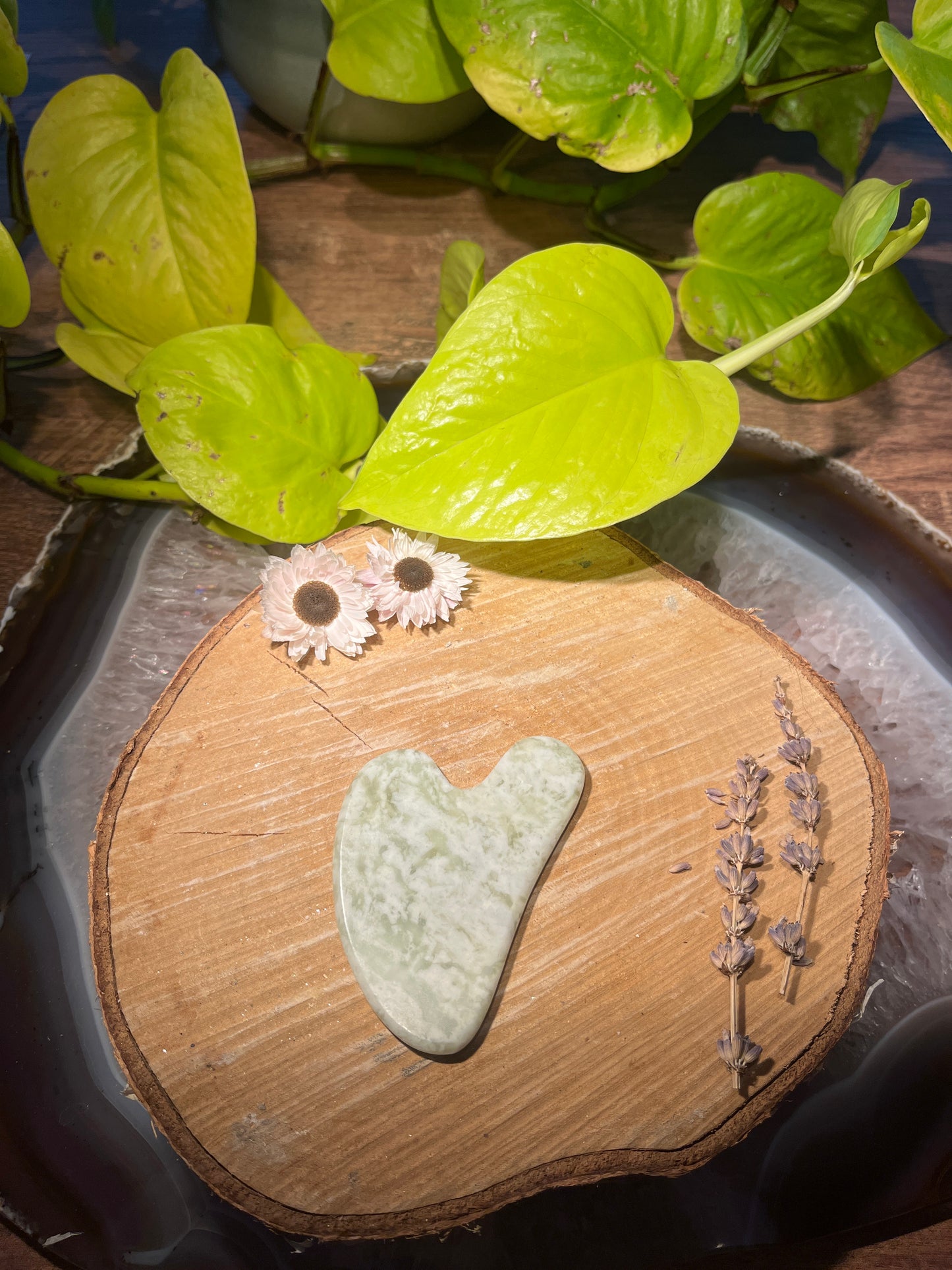 Gua sha jade