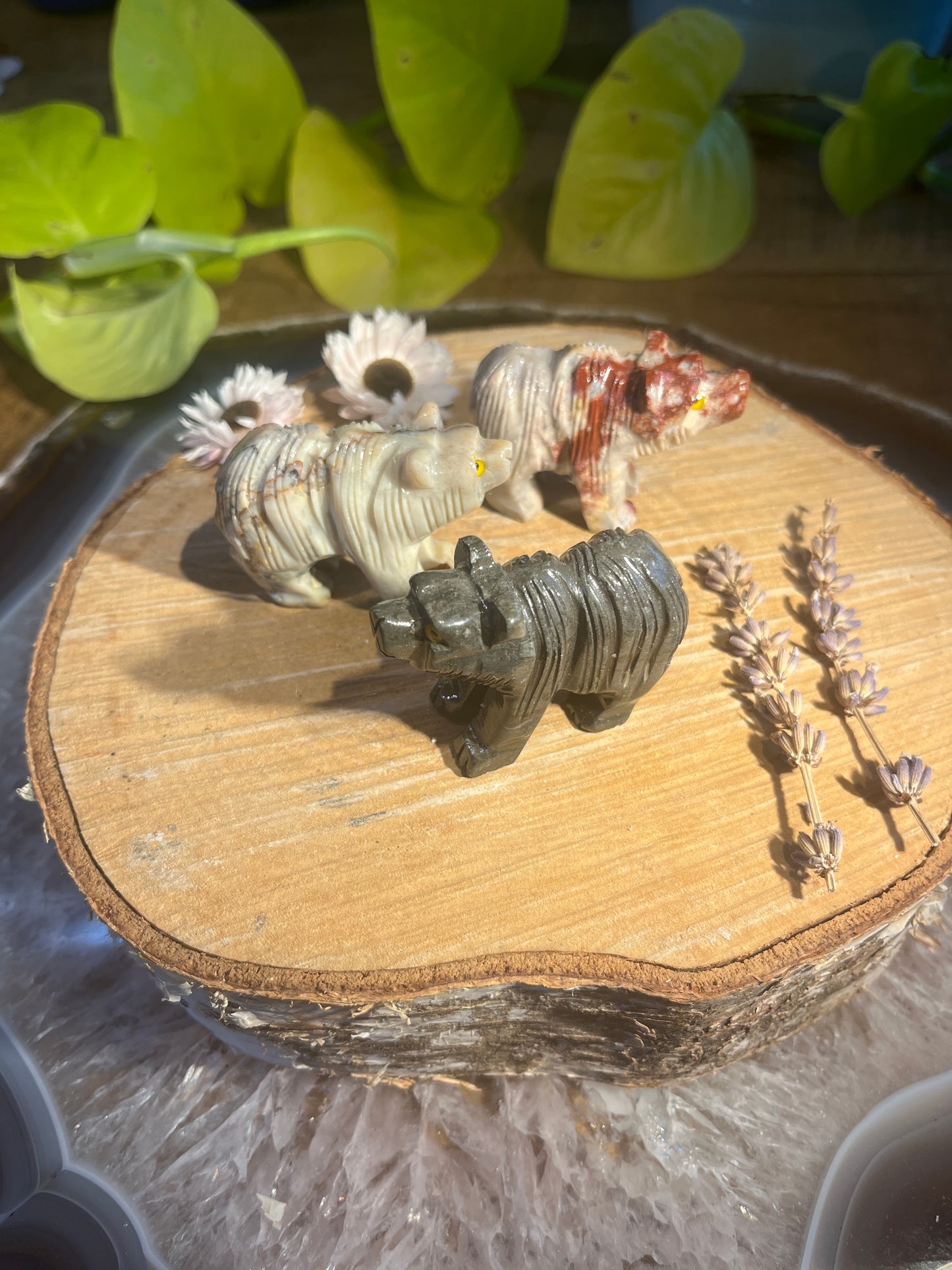 Speksteen beer groot