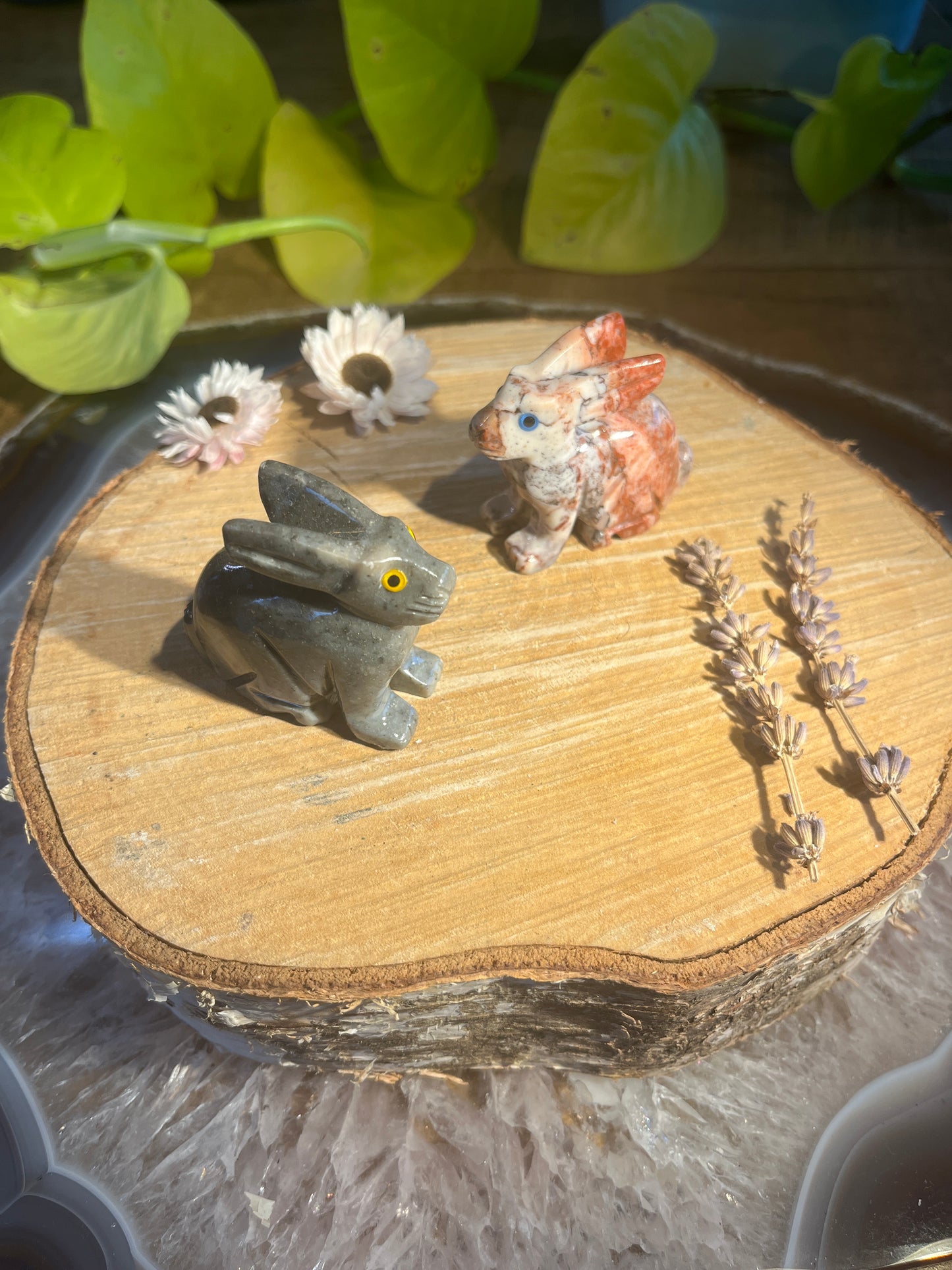 Speksteen konijn groot