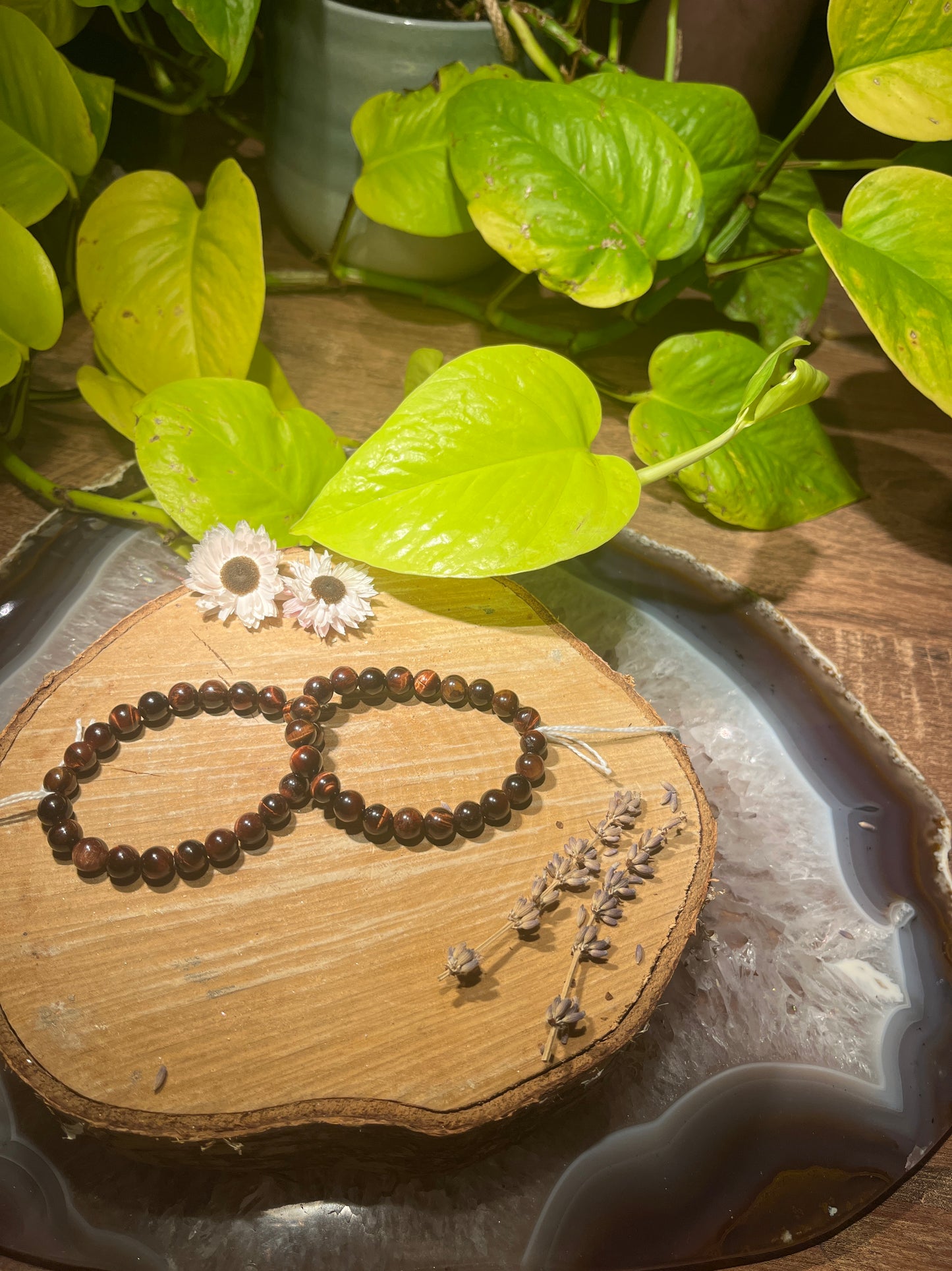 Kattenoog (rode tijgeroog) armband (8mm)