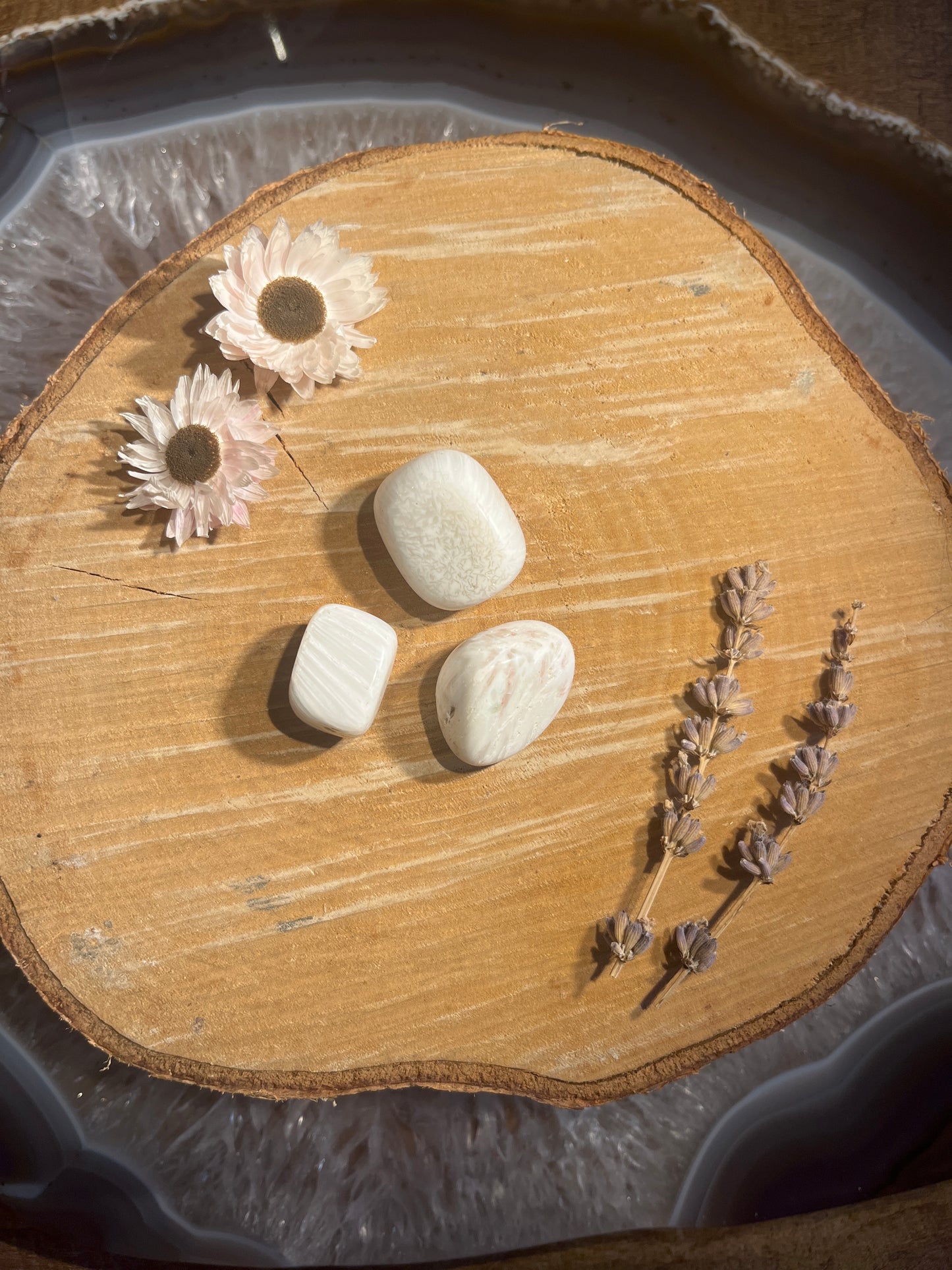 Scolesiet trommelsteen