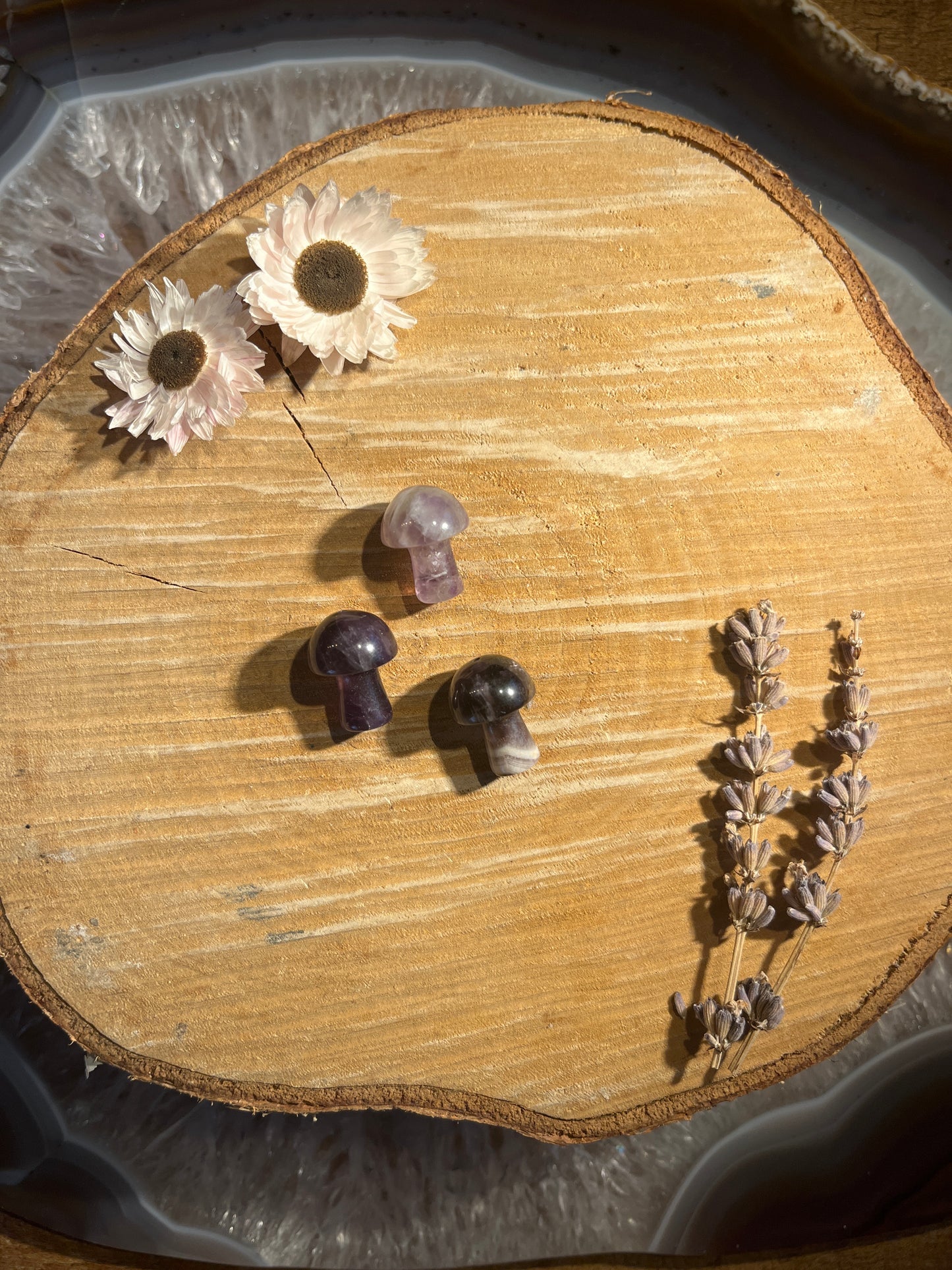 Amethist paddenstoeltje