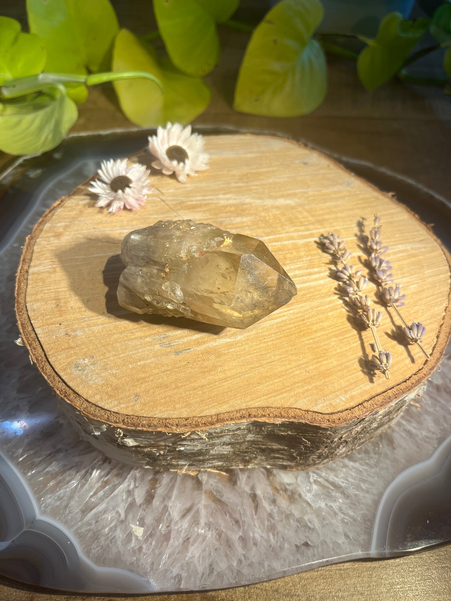 Natuurlijke citrien ruwe punt 2