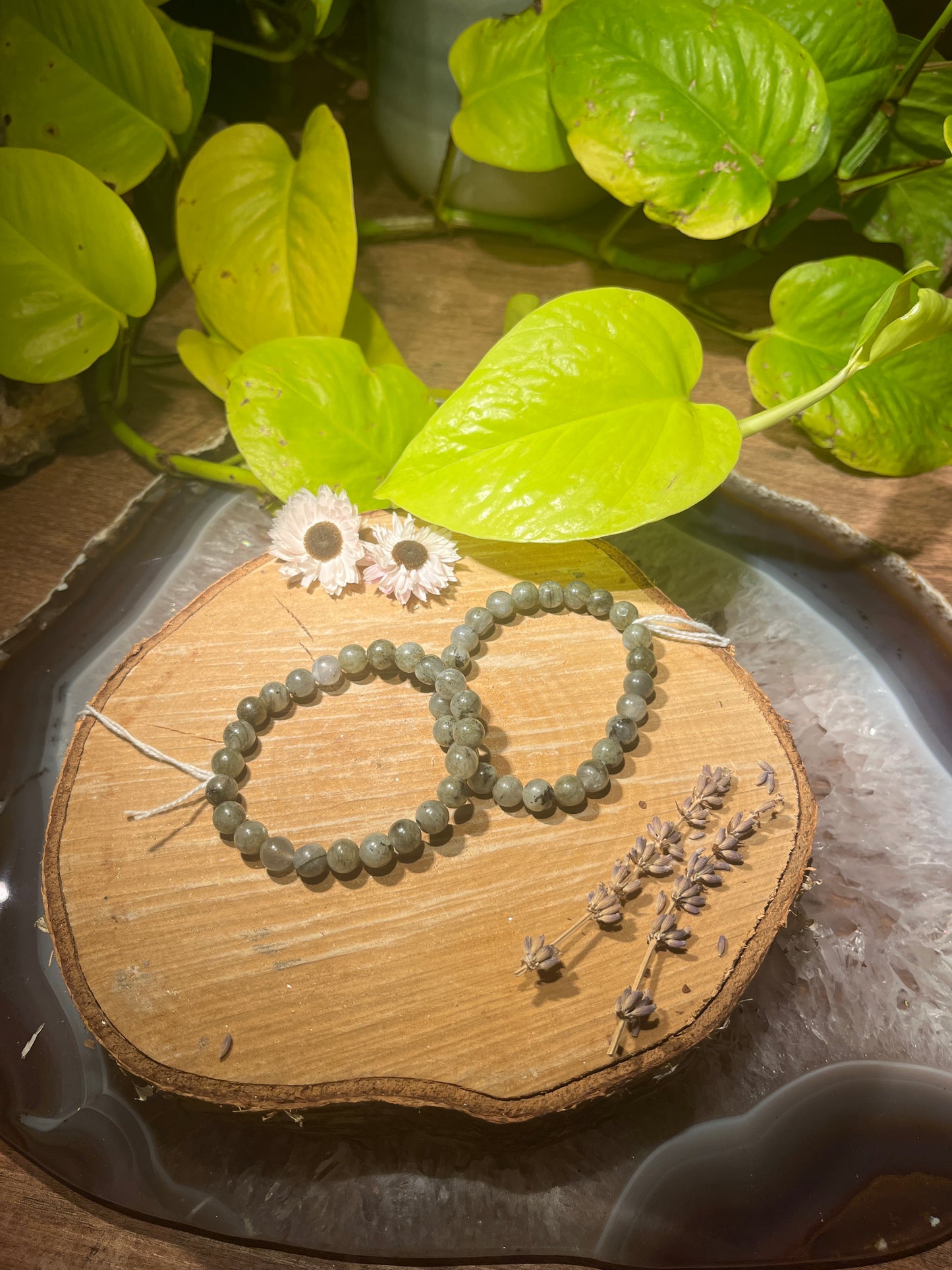 Labradoriet armband (8mm)