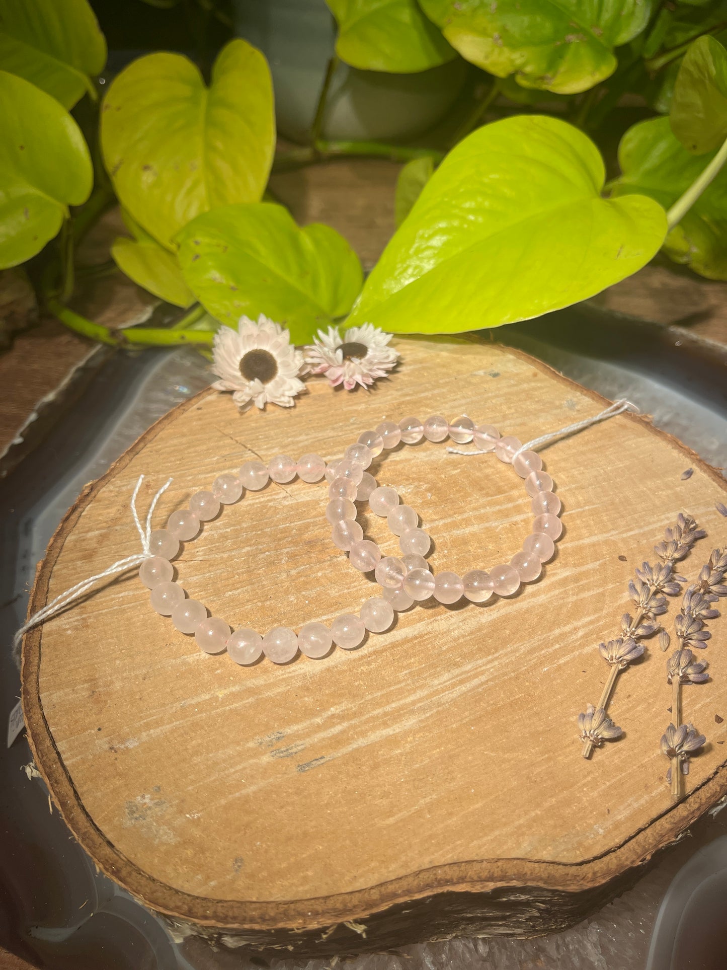 Rozenkwarts armband (8mm)