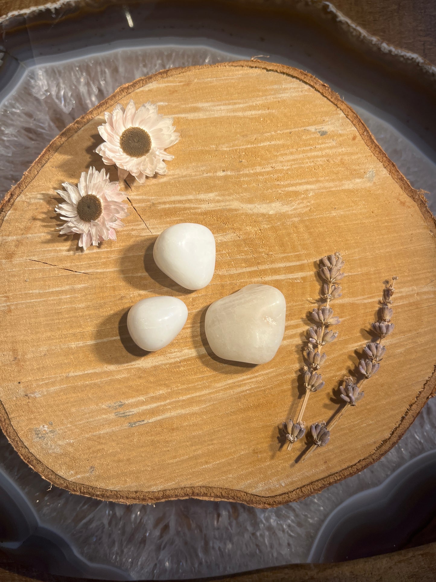 Sneeuwkwarts/ melkkwarts trommelsteen