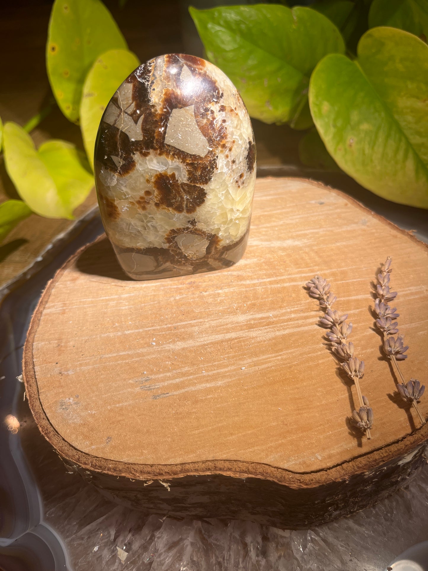 Septarie sculptuur 1