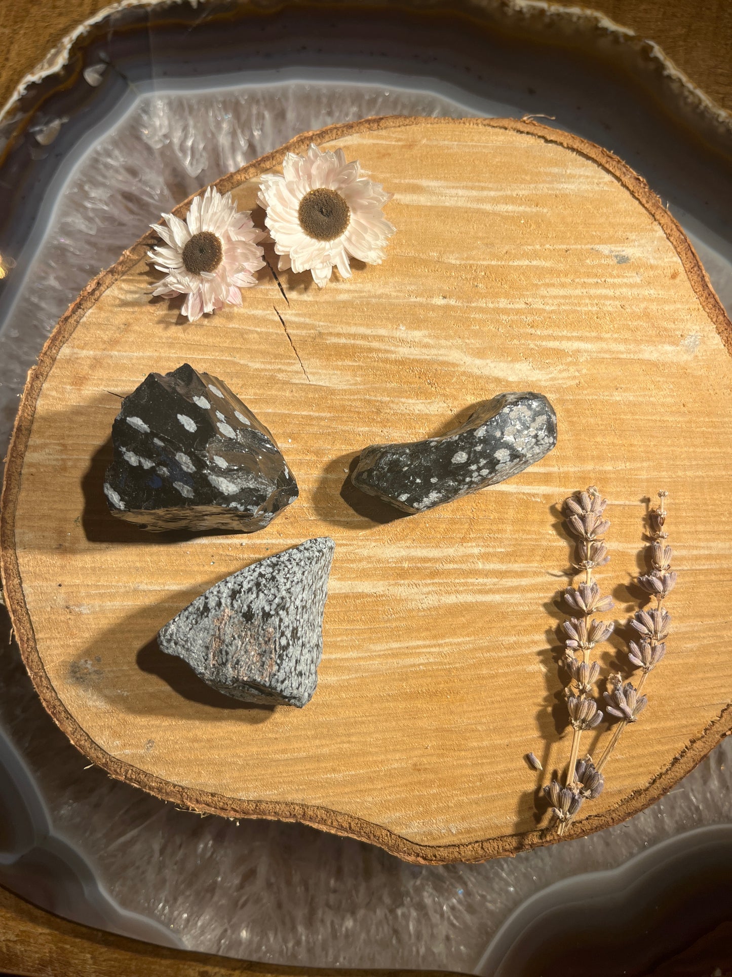 Sneeuwvlok obsidiaan ruw brokje