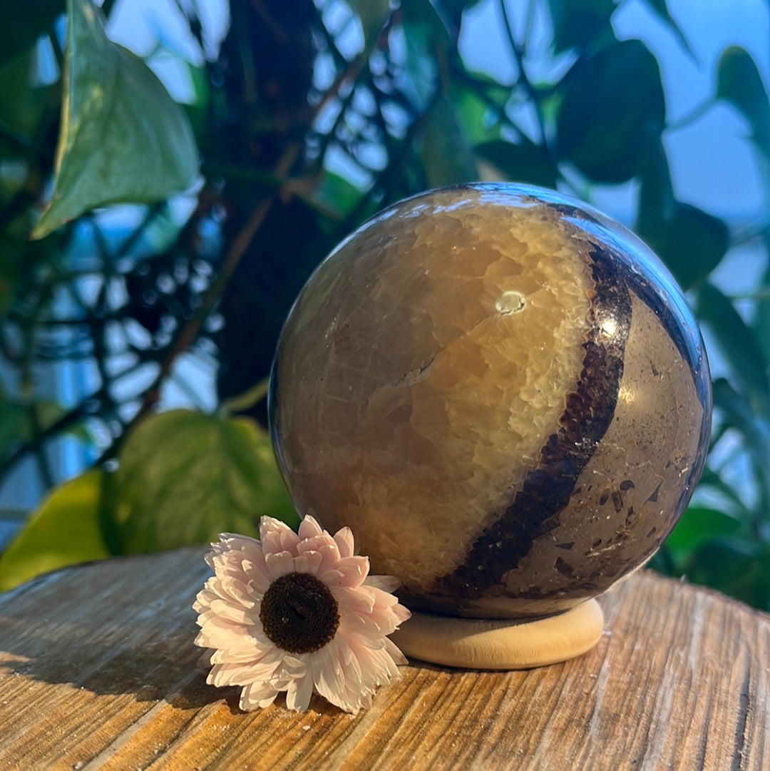 Septarie bol 1
