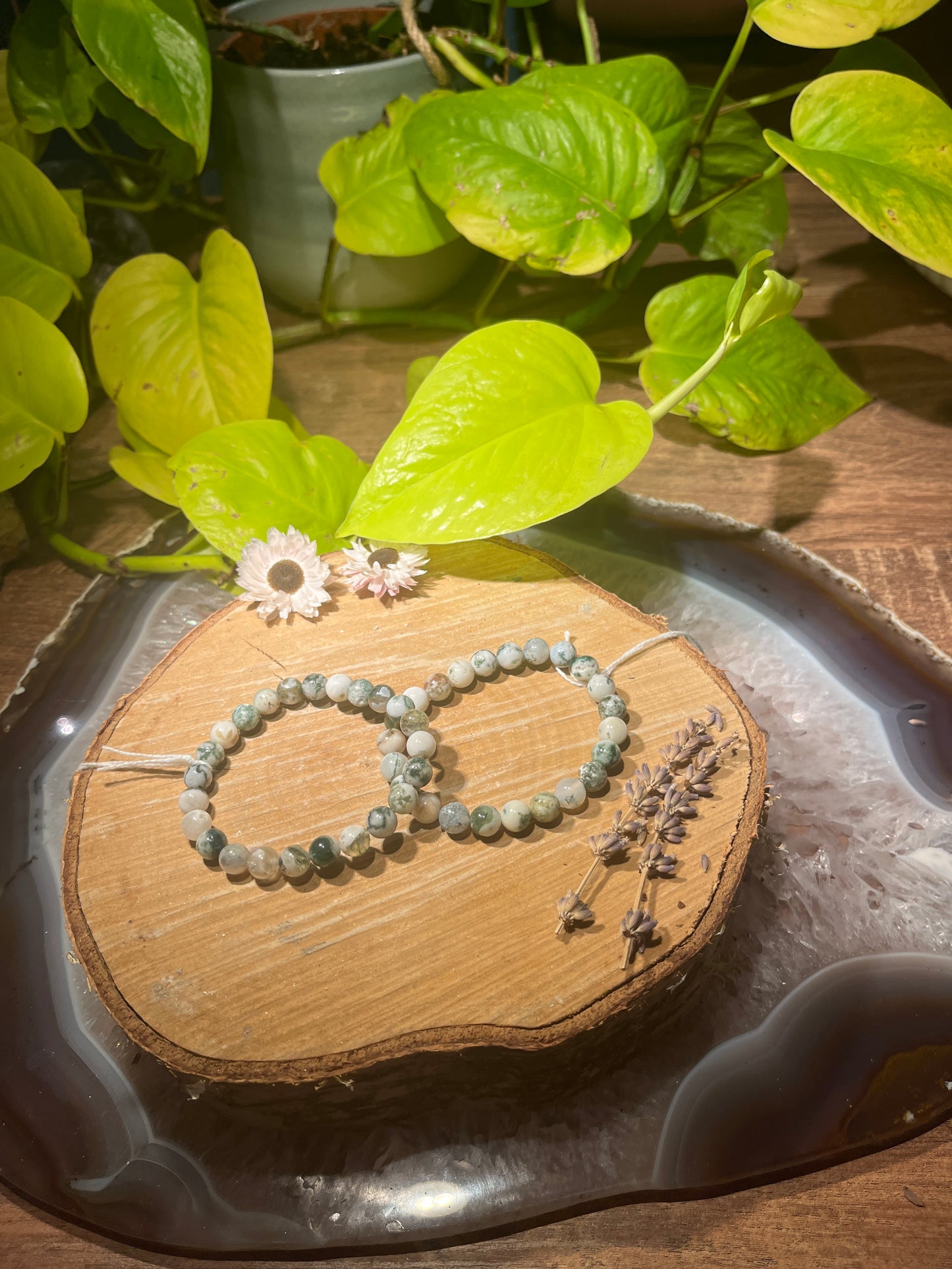 Boomagaat armband (8mm)