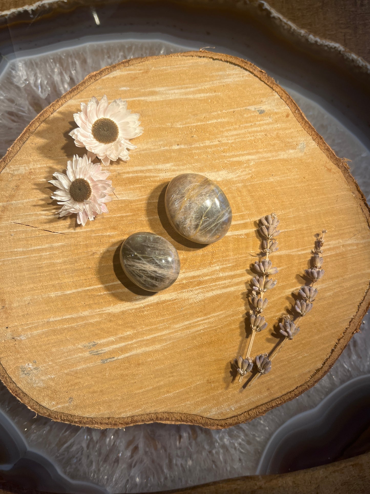 Zwarte maansteen zaksteen