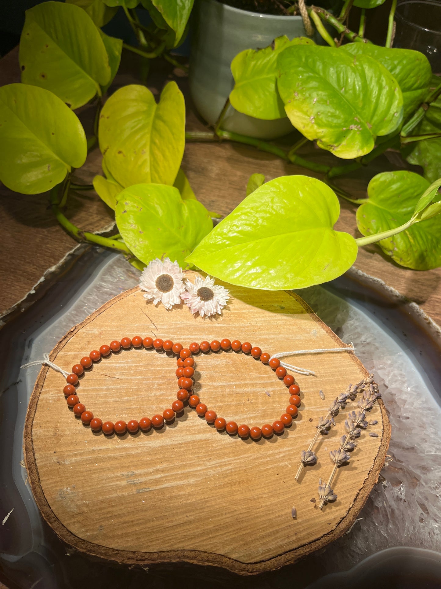 Rode jaspis armband (6mm)