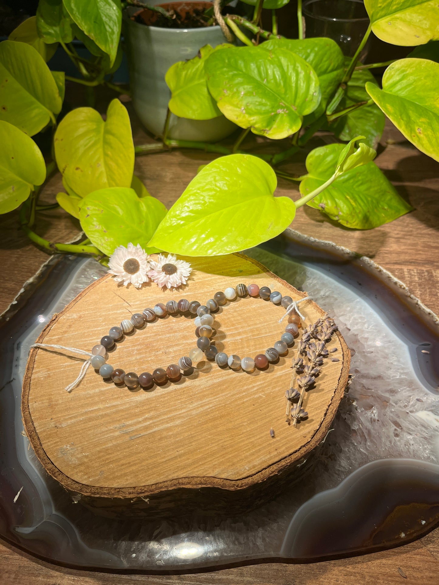 Botswana agaat armband (8mm)