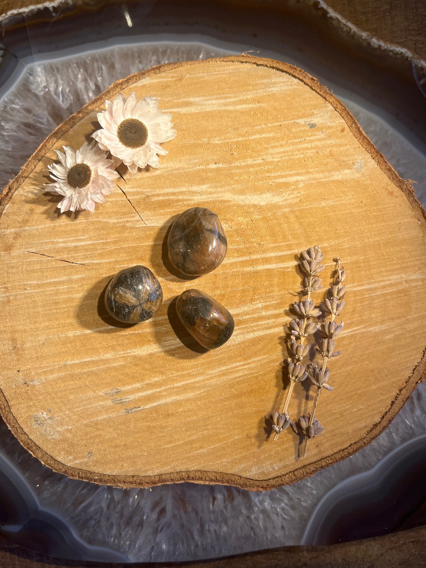 Chiastoliet trommelsteen