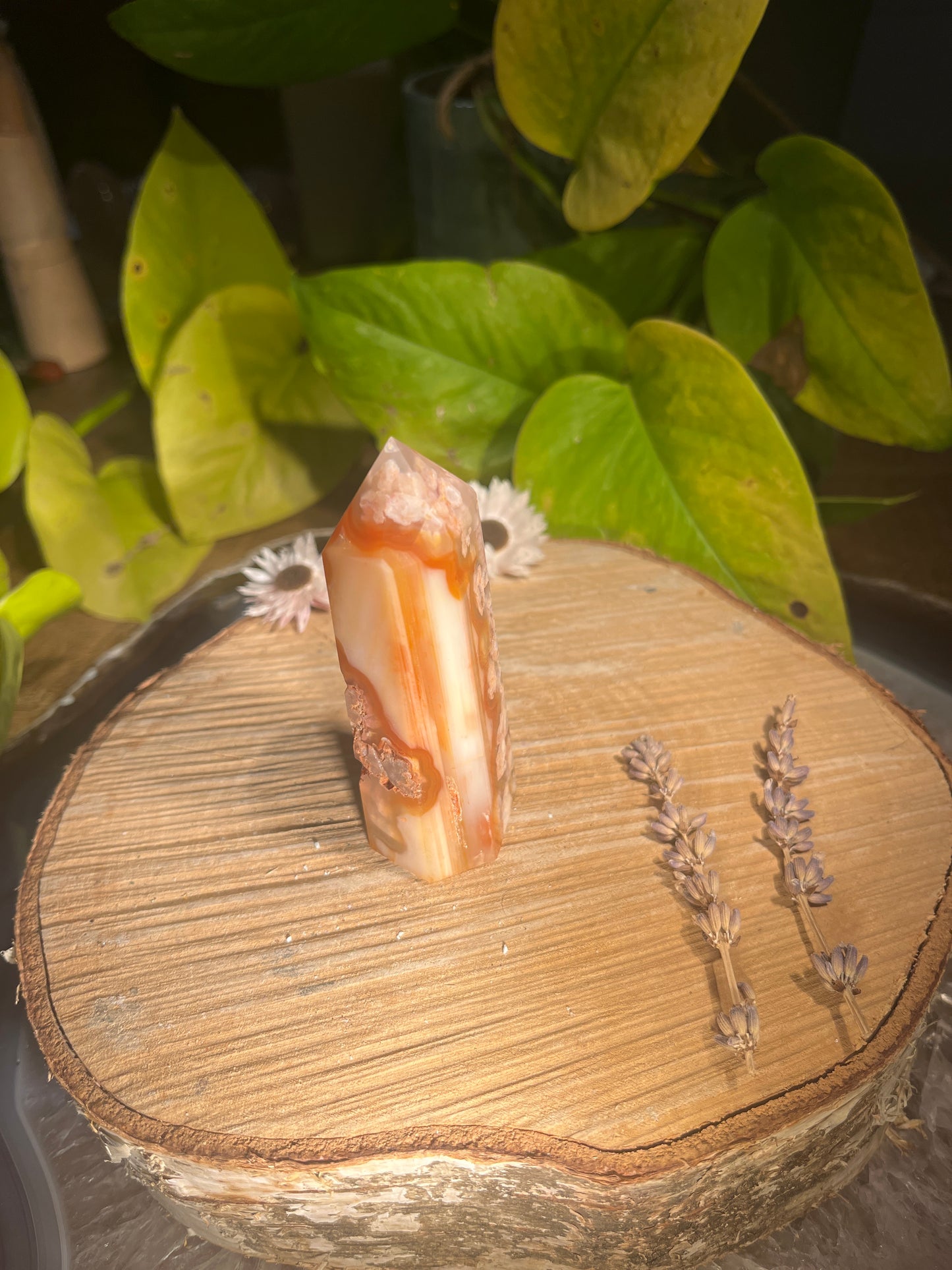 BloemCarneool punt 1