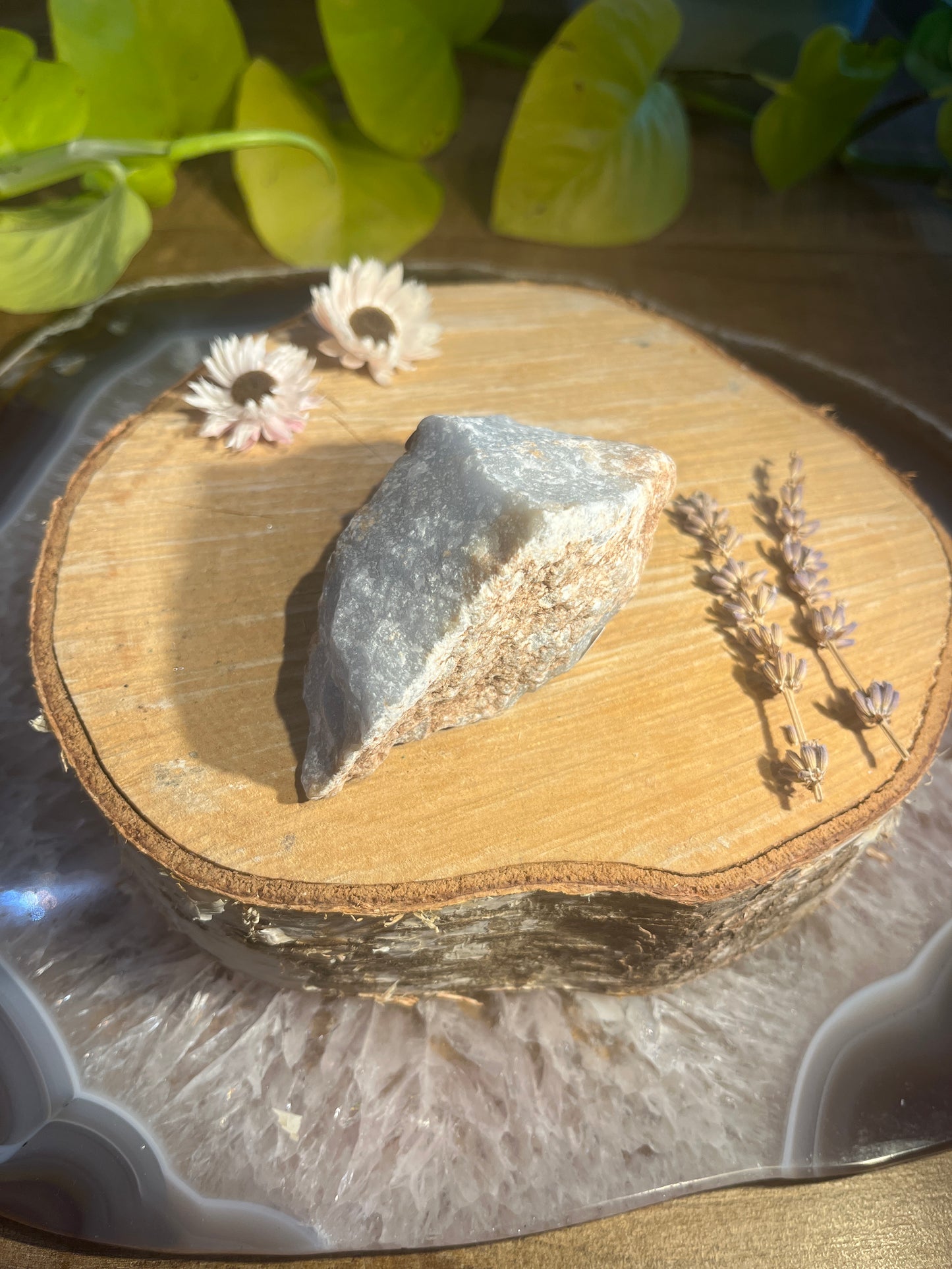 Angeliet ruwe brok 2