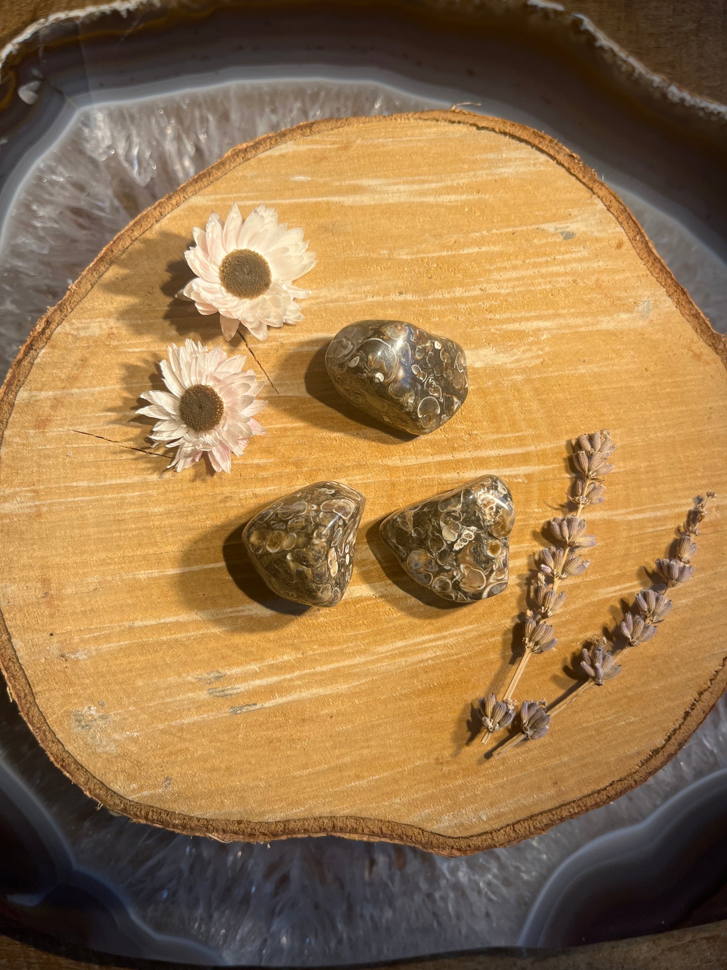 Turitella agaat trommelsteen