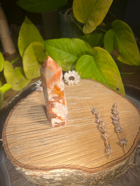 BloemCarneool punt 2