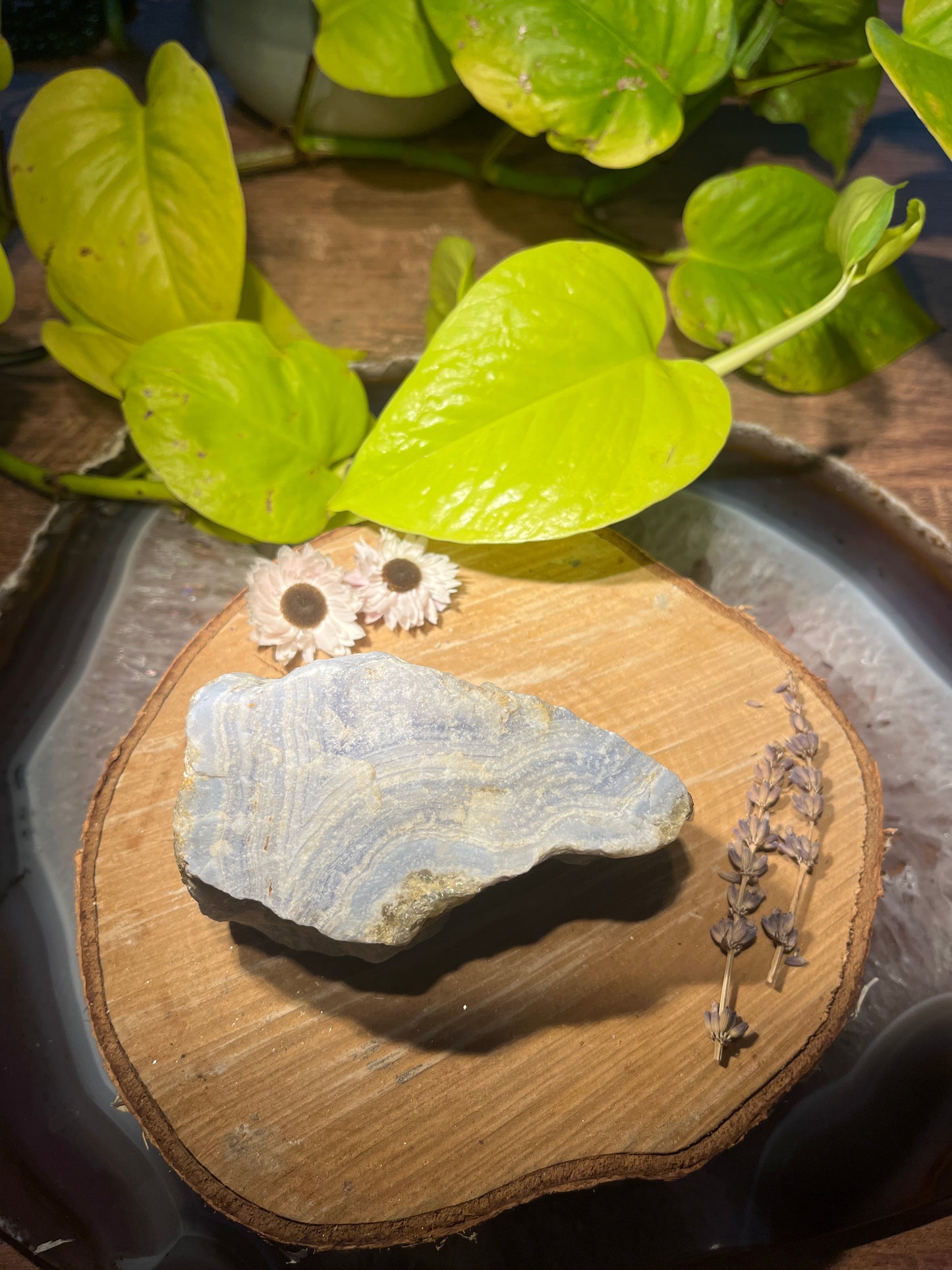Blue lace agaat (chalcedoon) ruw 1