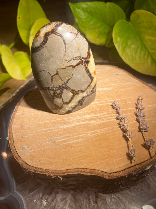 Septarie sculptuur 1