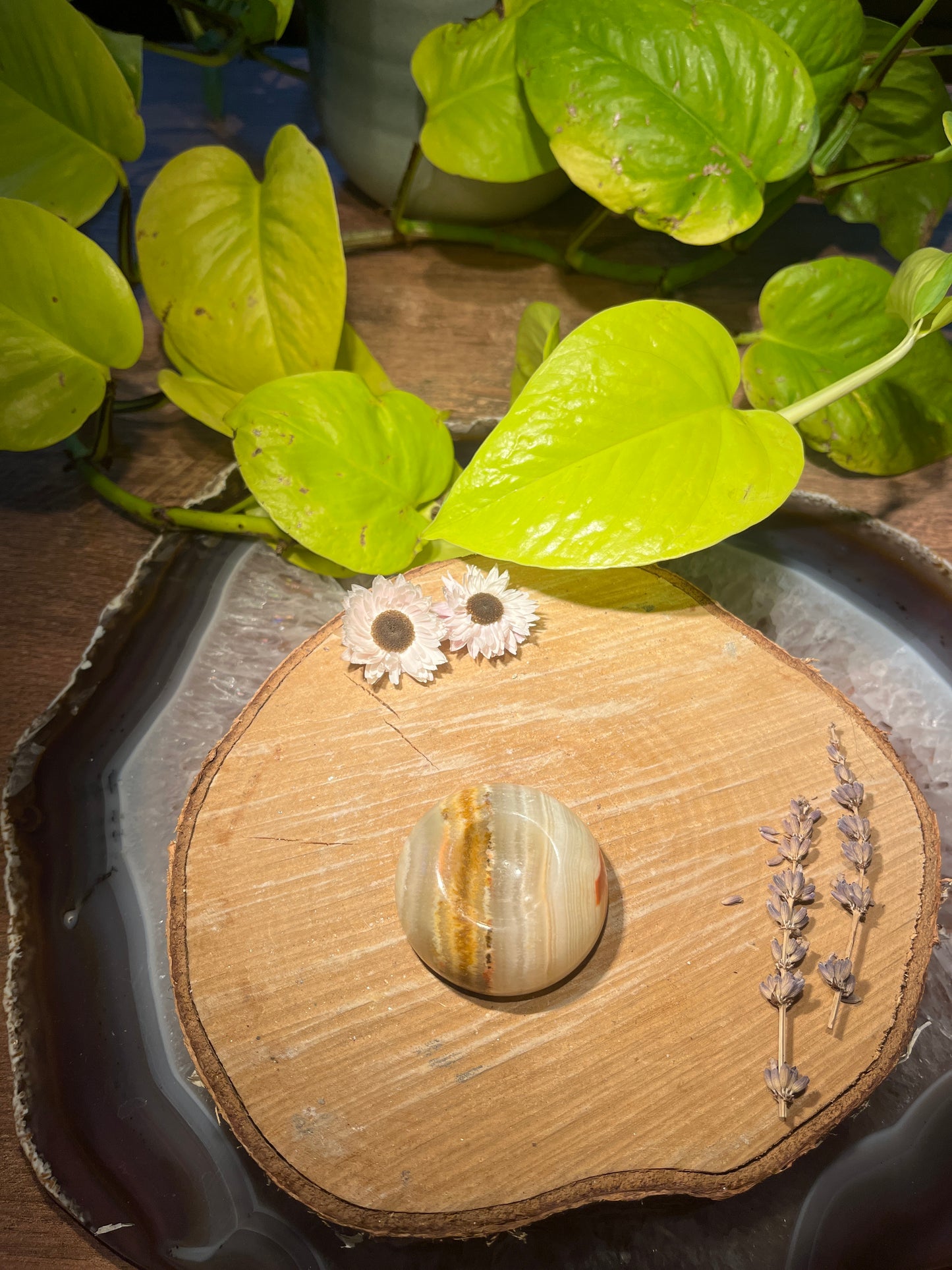 Aragoniet bol houder