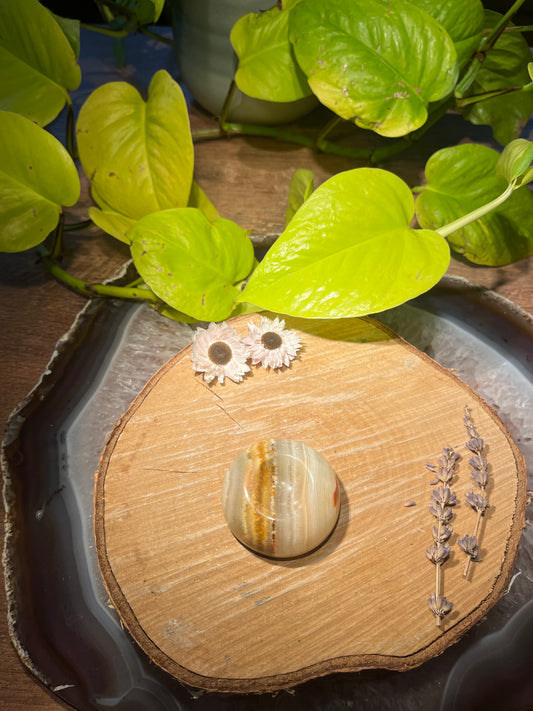 Aragoniet bol houder