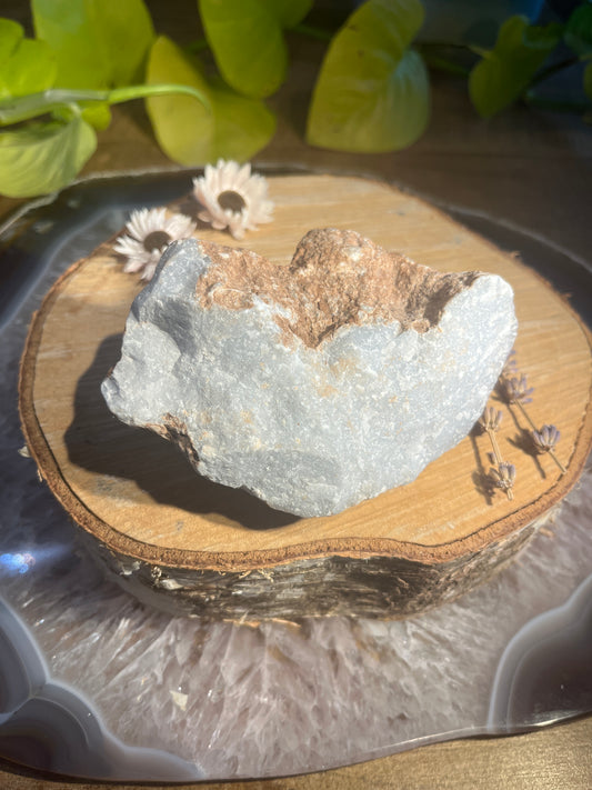 Angeliet ruwe brok 1