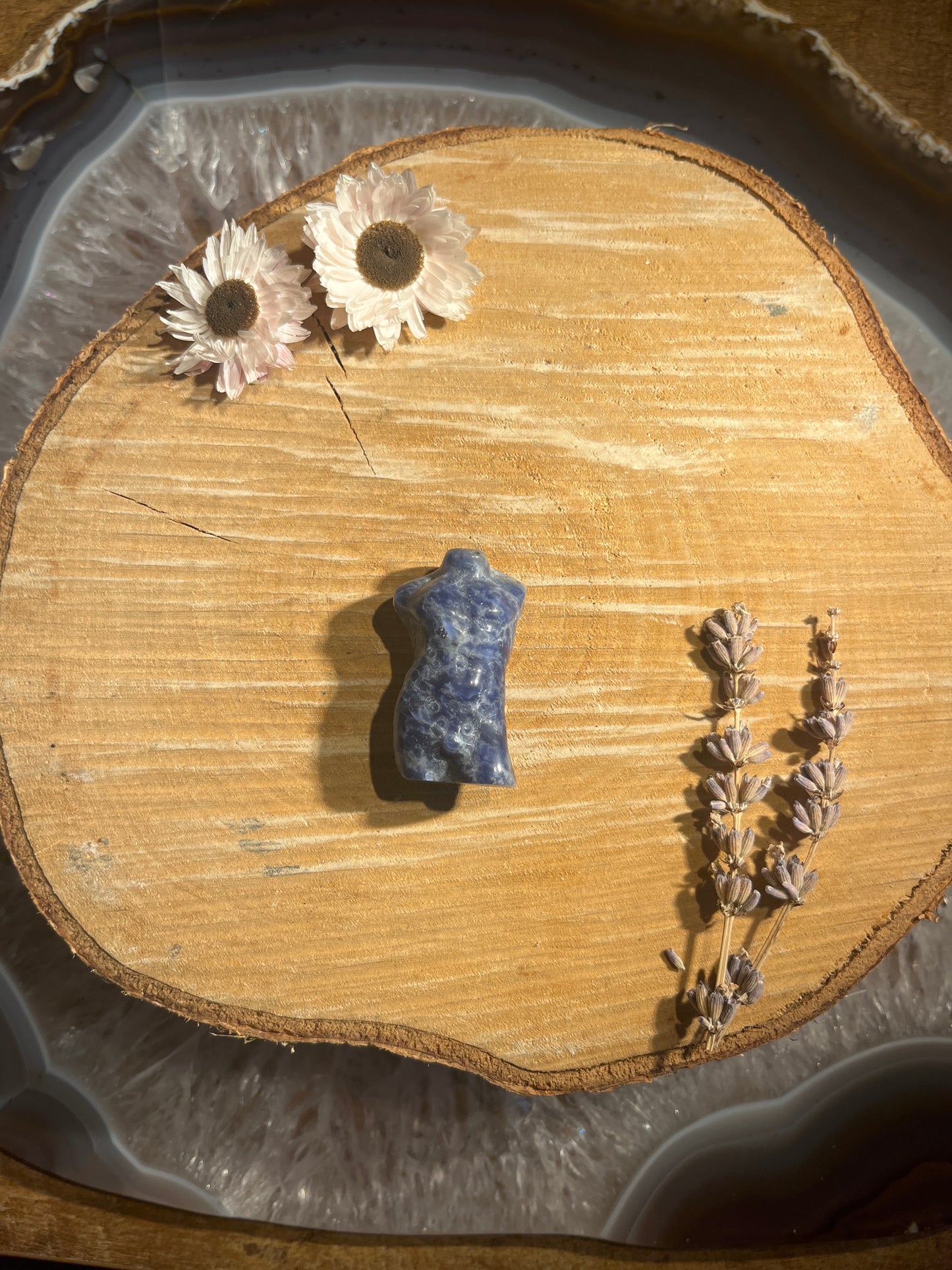 Sodaliet torso