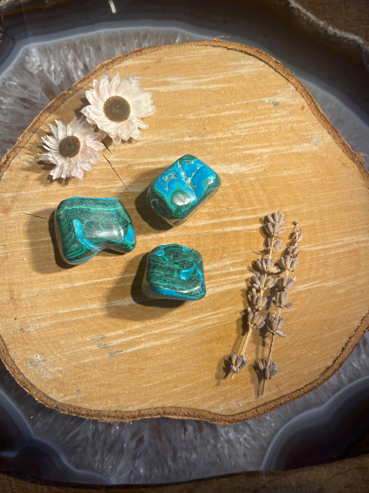 Malacolla trommelsteen