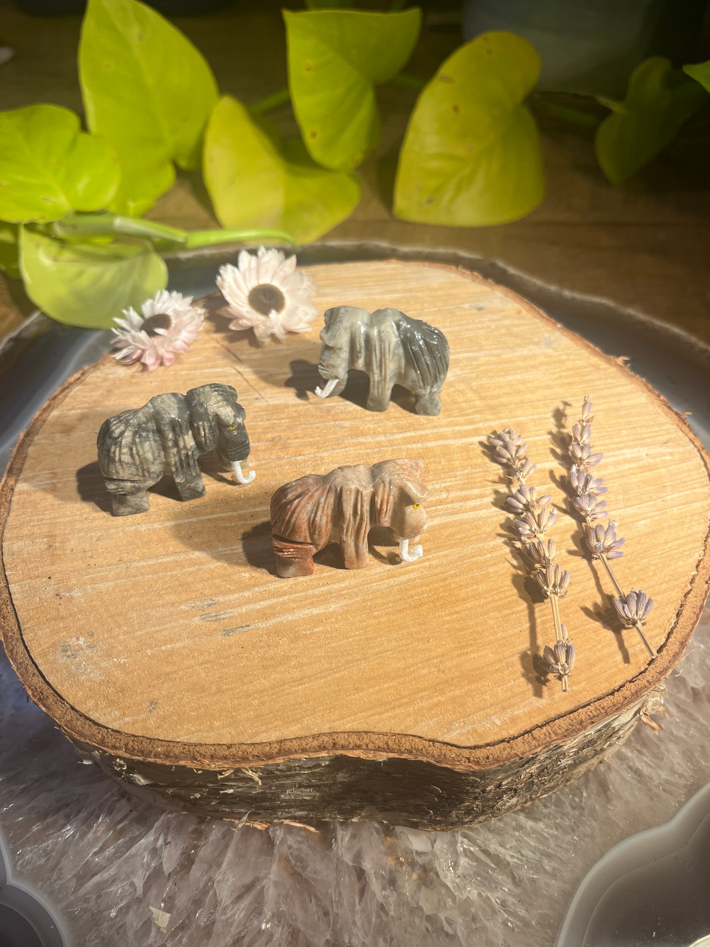 Speksteen mammoet klein