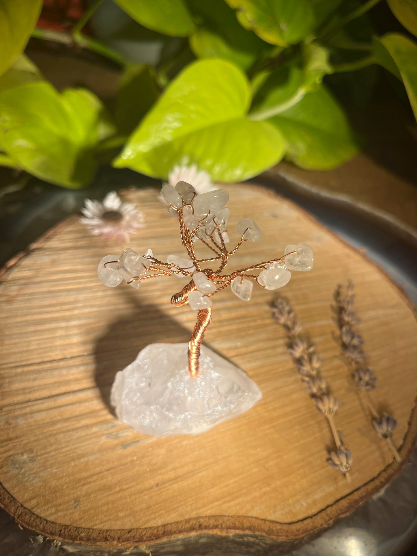 Bergkristal lucky tree