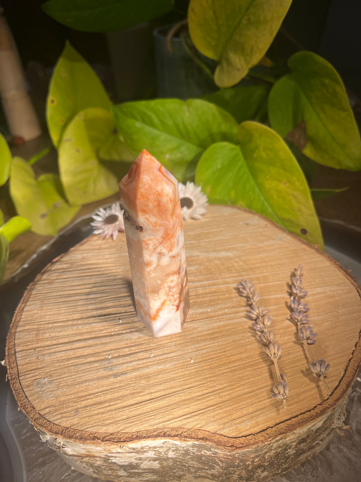 BloemCarneool punt 2