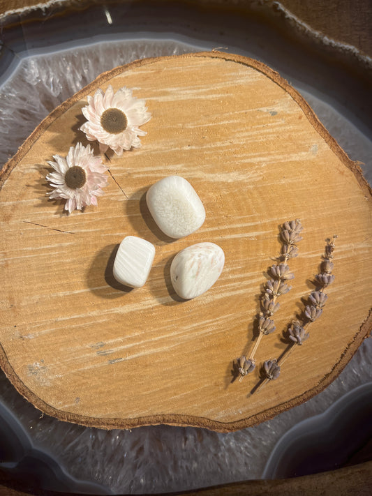 Scolesiet trommelsteen