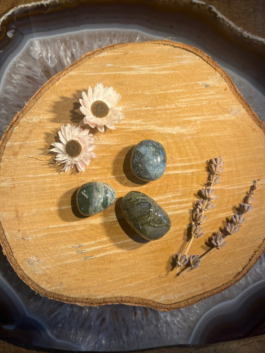 Mosagaat trommelsteen