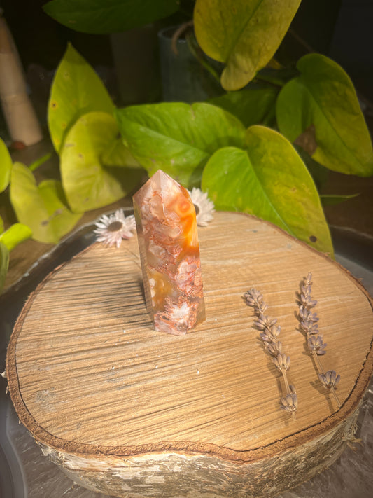 BloemCarneool punt 1