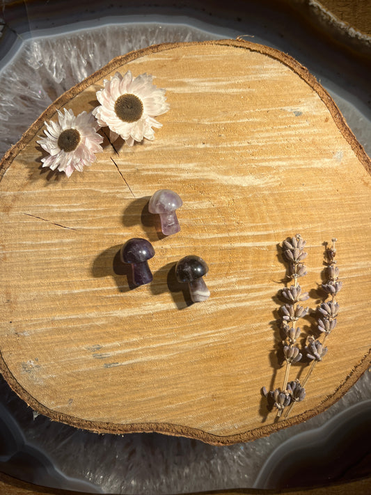 Amethist paddenstoeltje