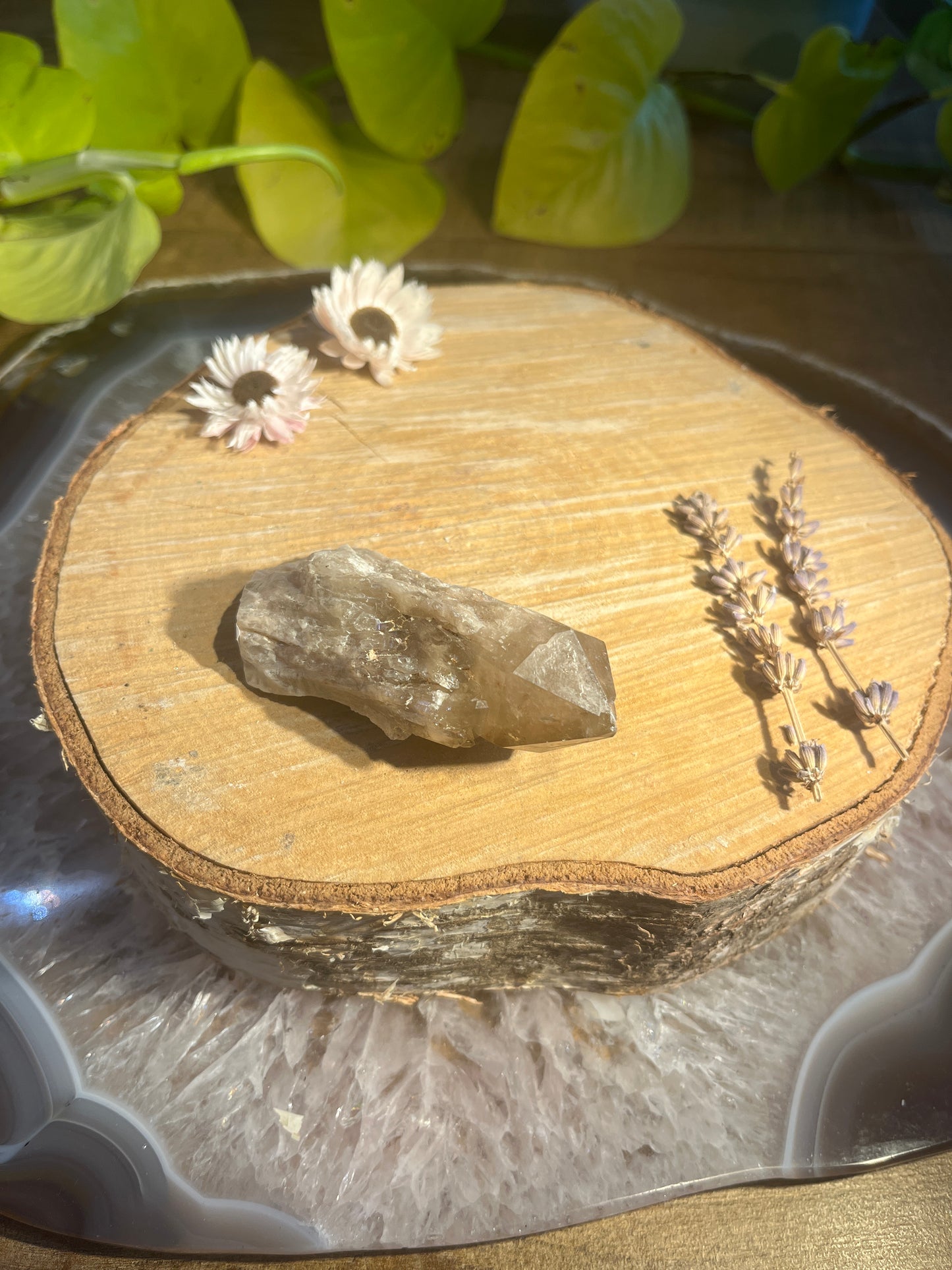 Natuurlijke citrien ruwe punt 4