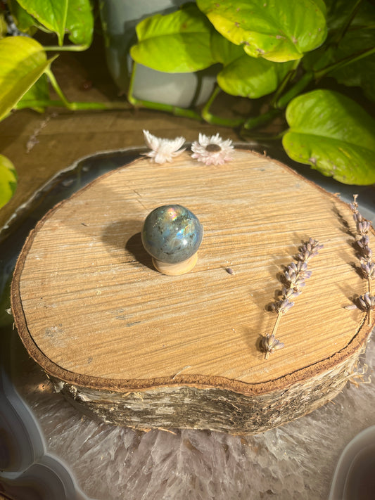 Labradoriet bolletje