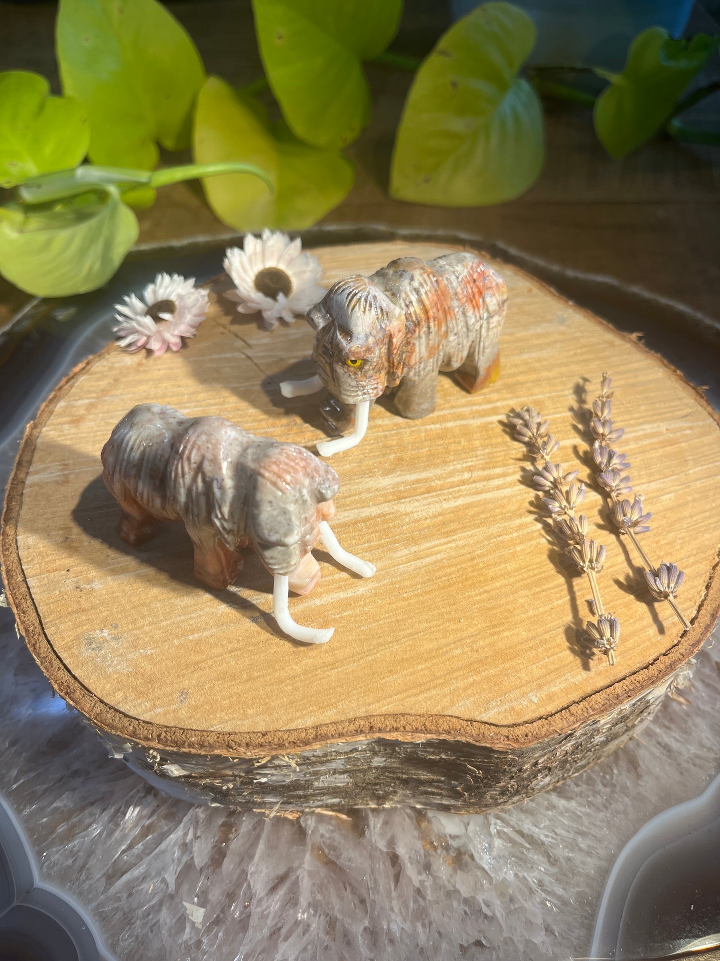 Speksteen mammoet groot