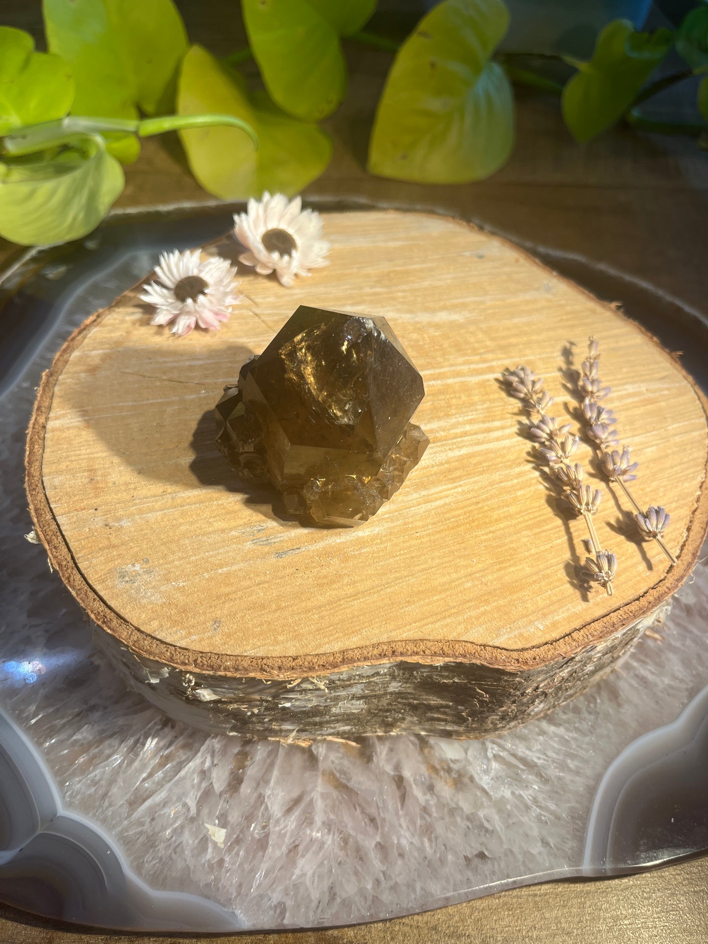 Natuurlijke citrien ruwe punt 1