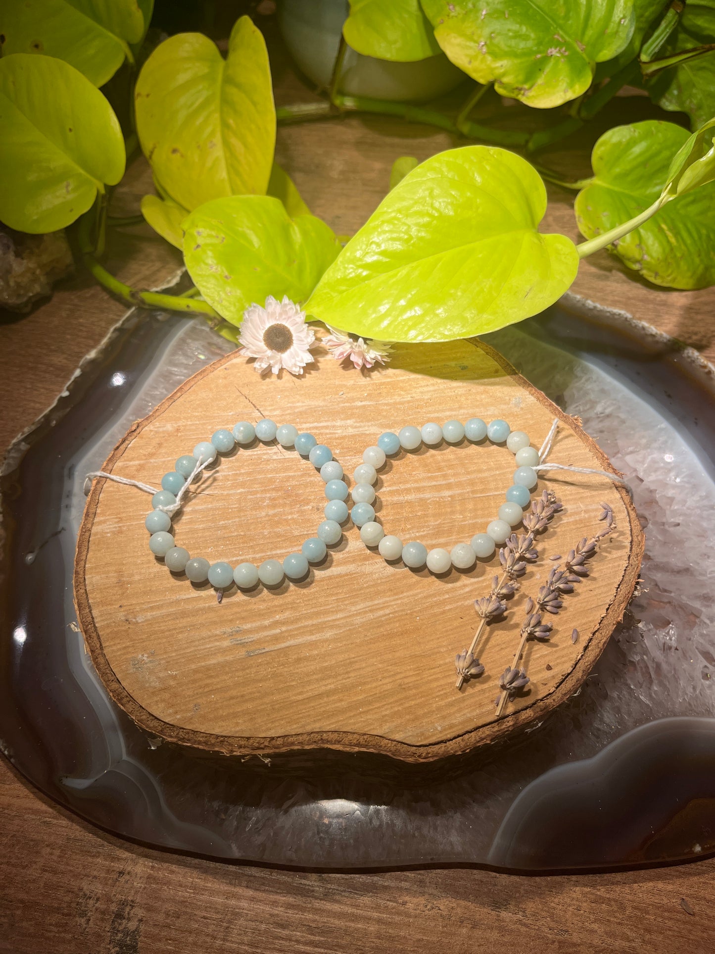 Amazoniet armband (8mm)