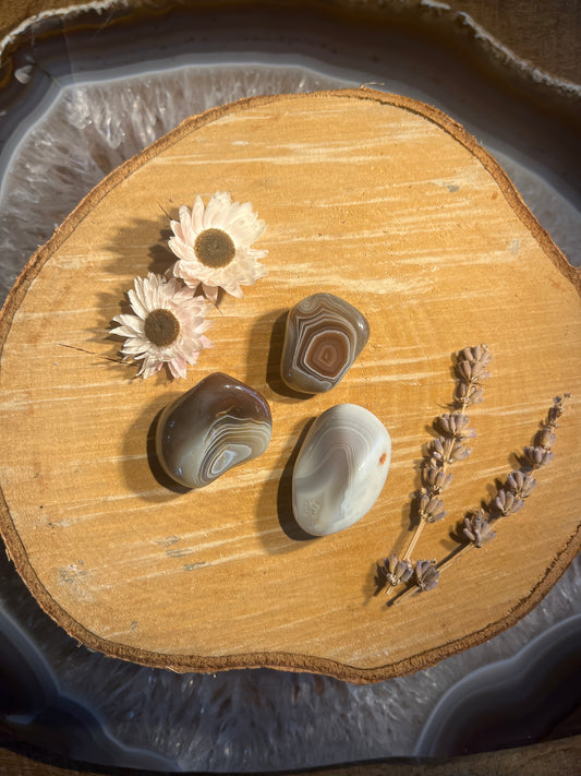 Botswana agaat trommelsteen